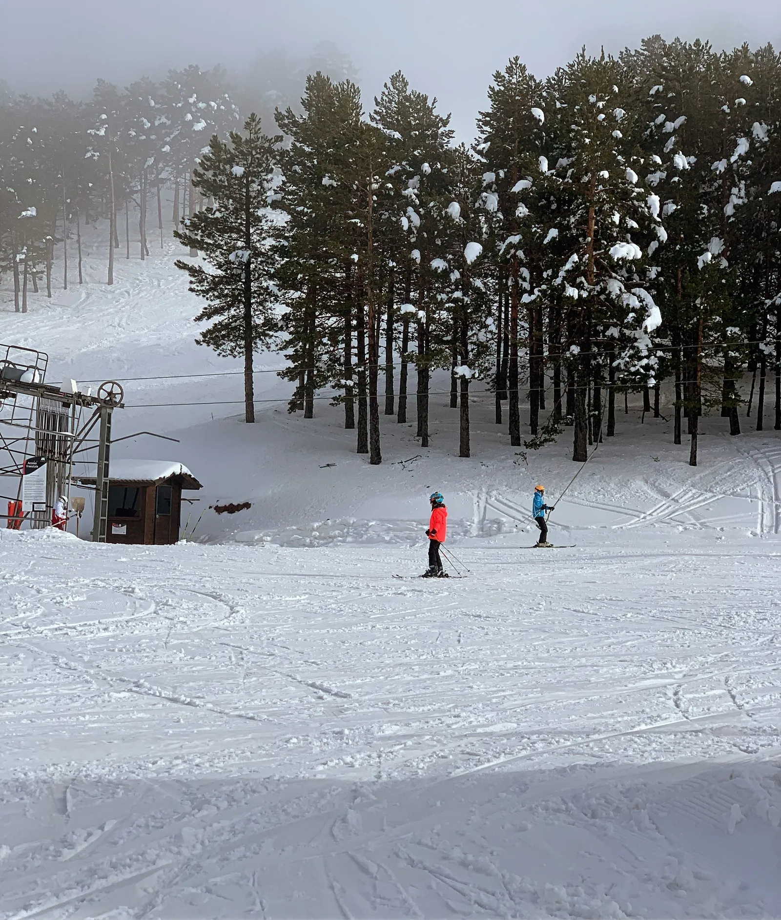 Niños esquiando junto a un telearrastre de Javalambre, entre pinos cargados de nieve y niebla